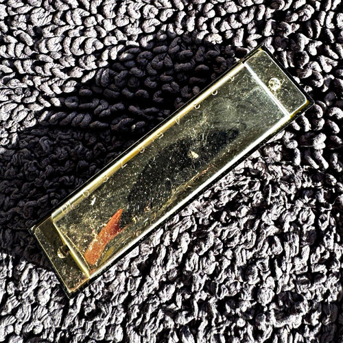 Googo g000 key c diatonic - g000-9,