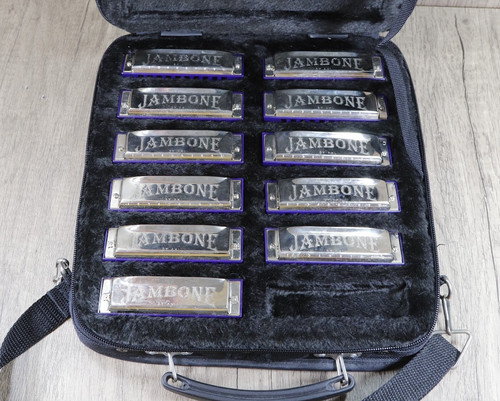 Jambone diatonic harmonica set - harmonica,