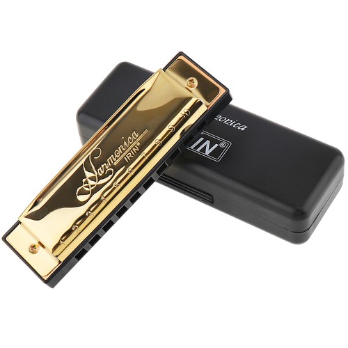 Blues diatonic harmonica - harmonica, 10