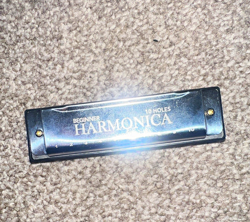 Hole diatonic harmonica - 10-hole,